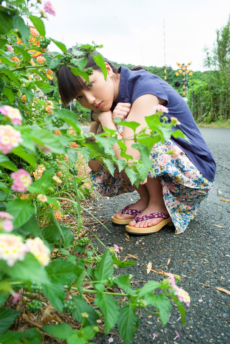 桃燃江堤，未若卿